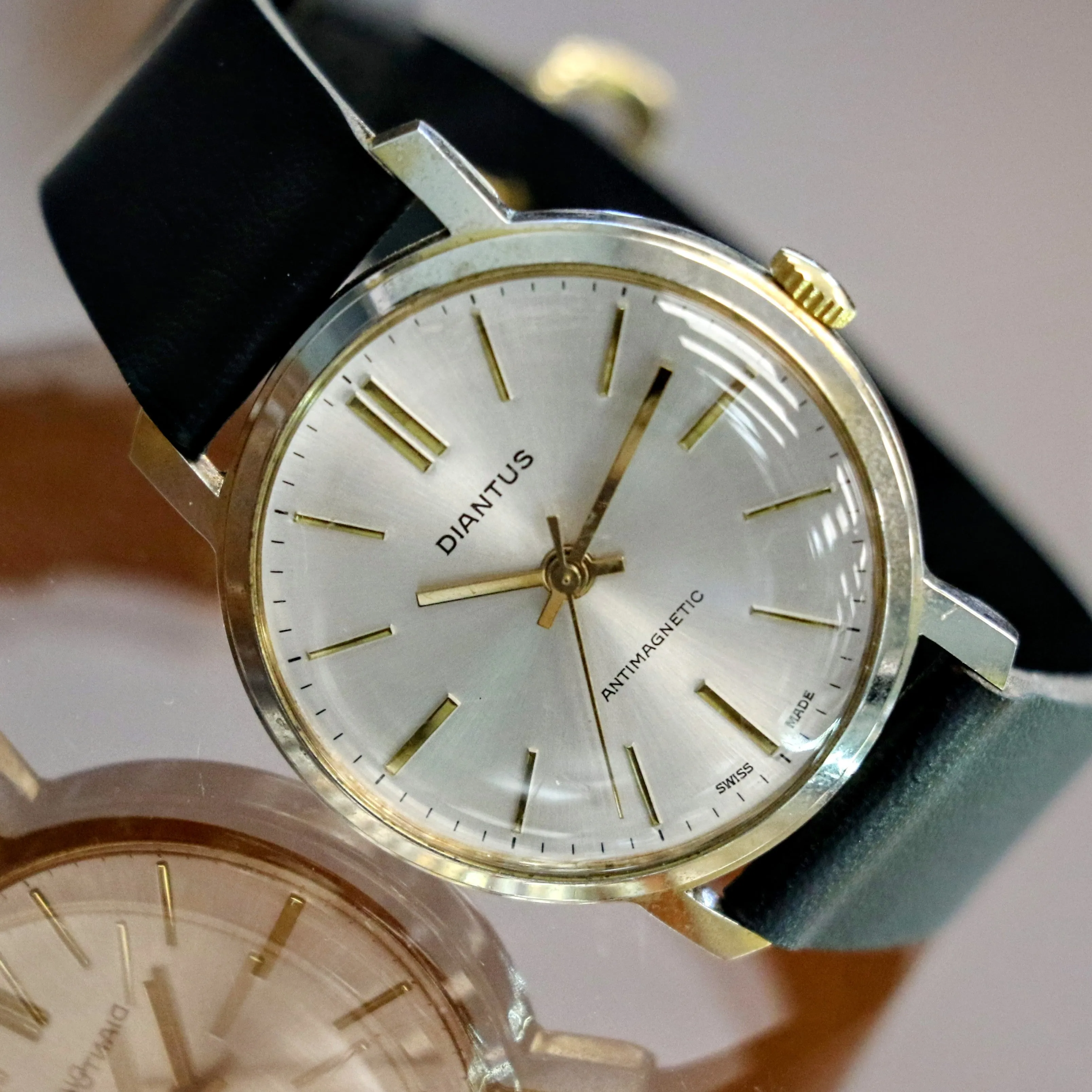 1960's DIANTUS Antimagnetic Watch Cal. EB 8800 Swiss Made Vintage Wristwatch