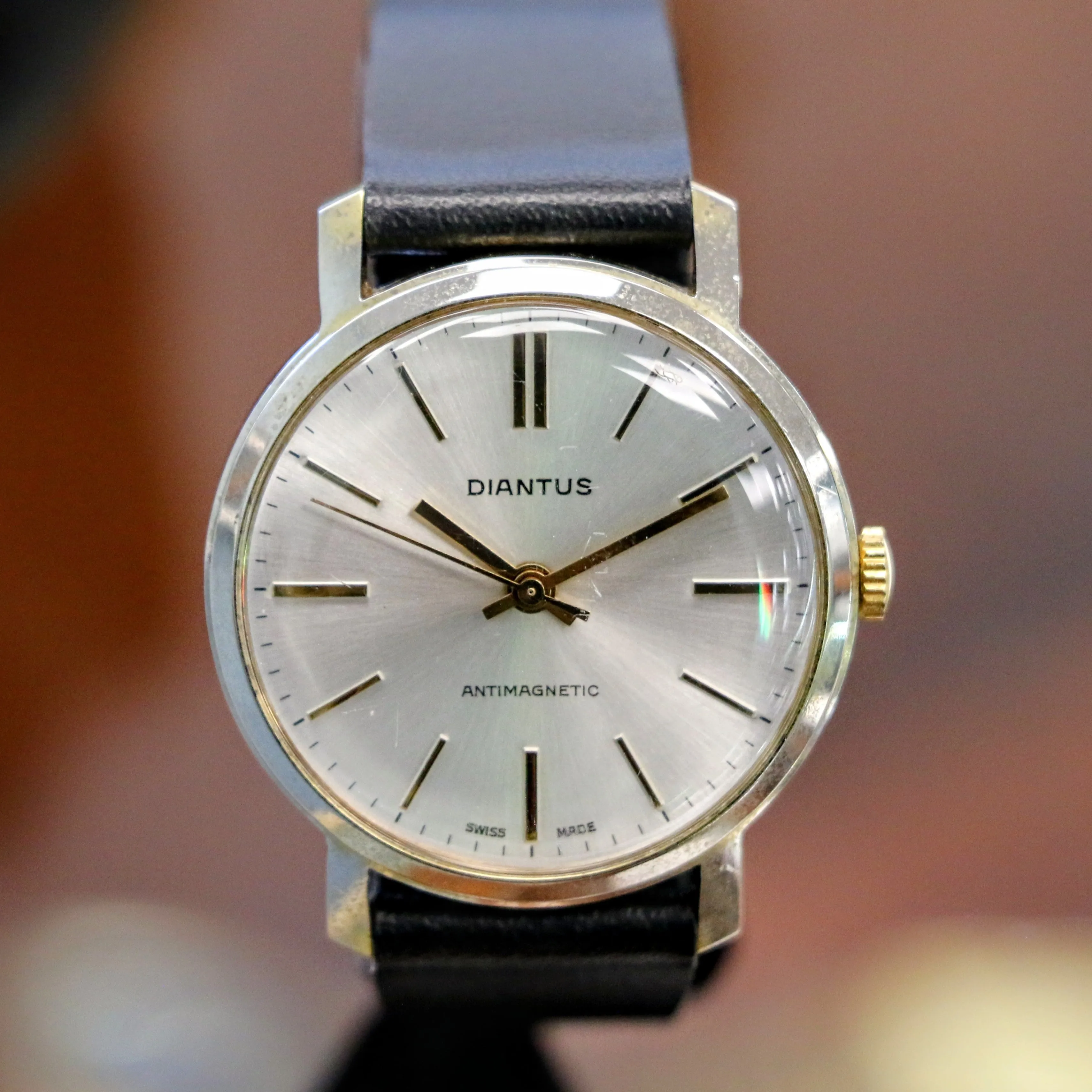1960's DIANTUS Antimagnetic Watch Cal. EB 8800 Swiss Made Vintage Wristwatch