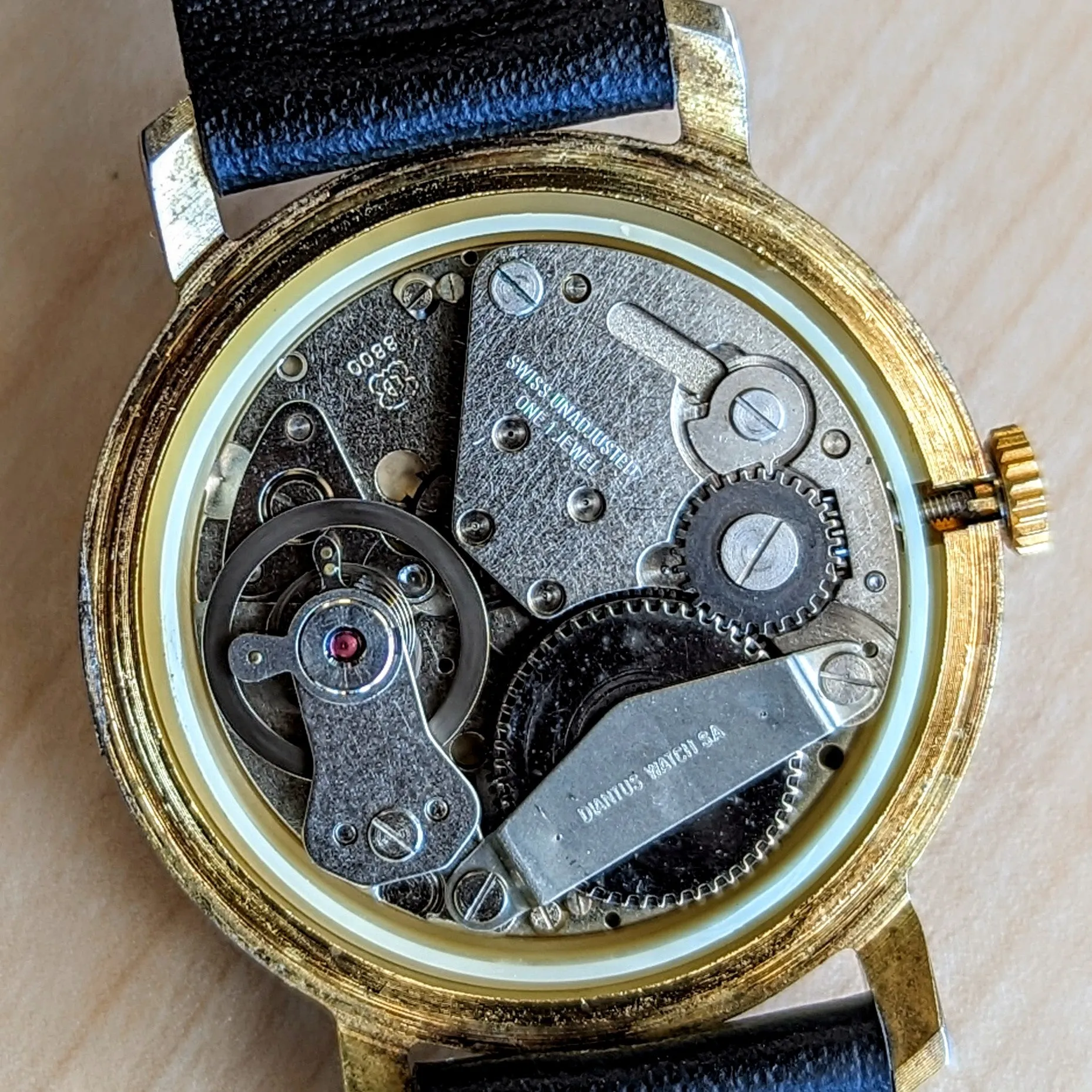 1960's DIANTUS Antimagnetic Watch Cal. EB 8800 Swiss Made Vintage Wristwatch