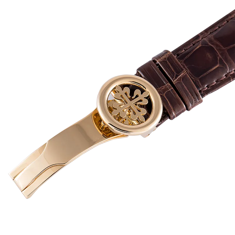 Patek Philippe Complications World Time Yellow Gold 5131J-001